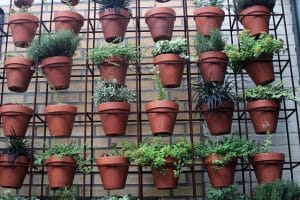 astuces pour fleurir un balcon