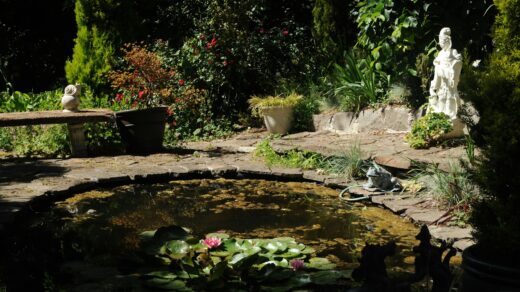 jardin